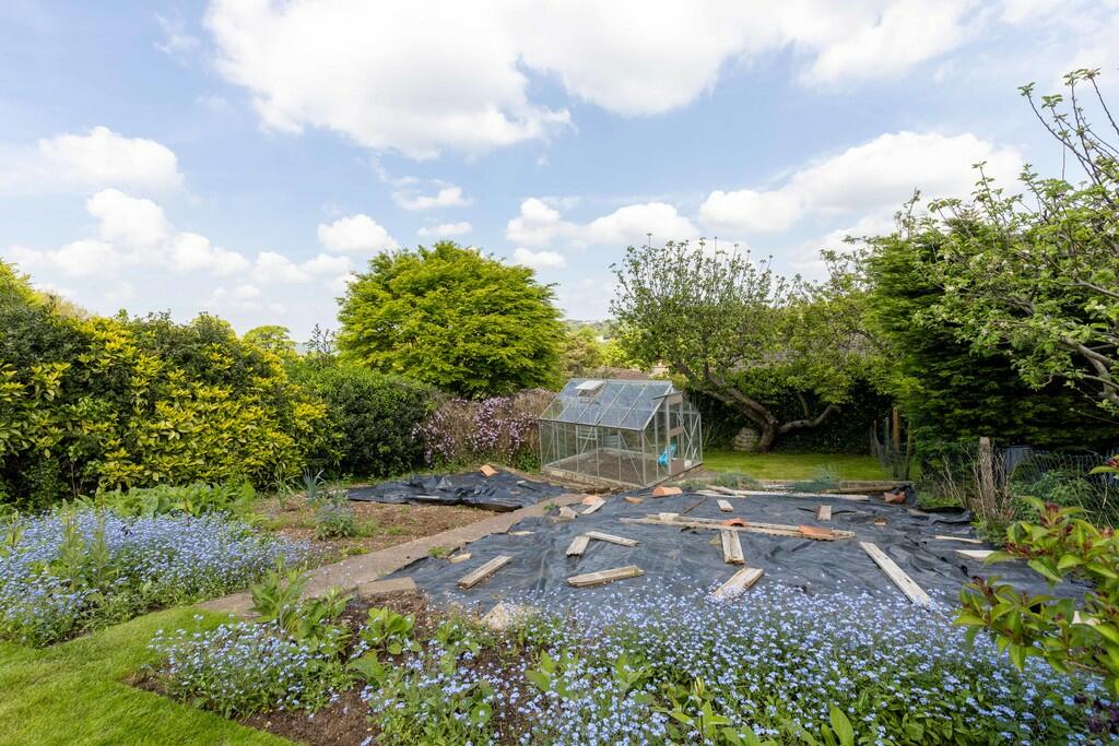 Vegetable Patch