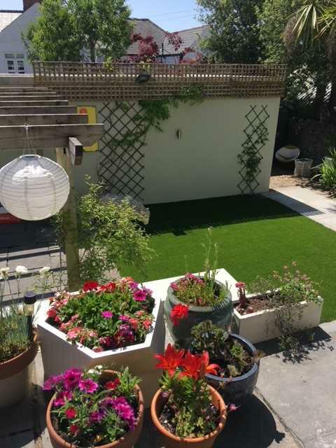 Garden in summer