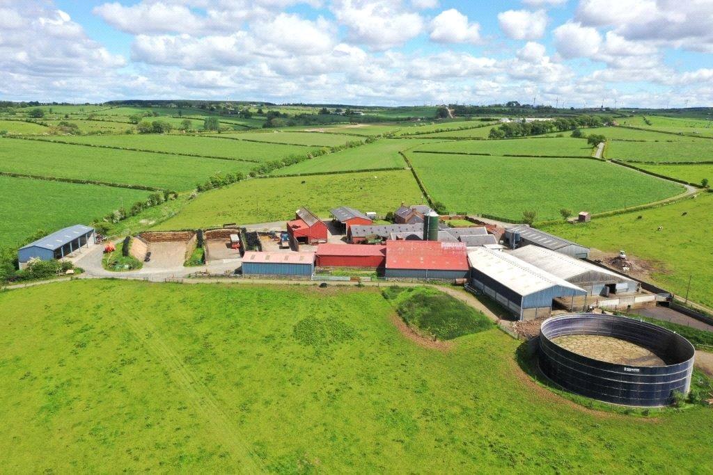 Steading