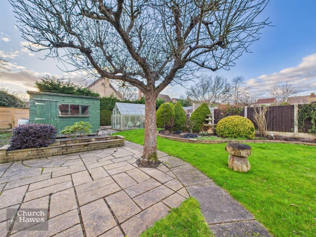 backgarden.jpg
