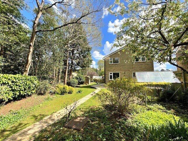Picture No. 31