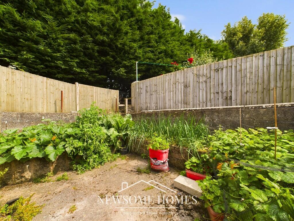 Vegetable Patch