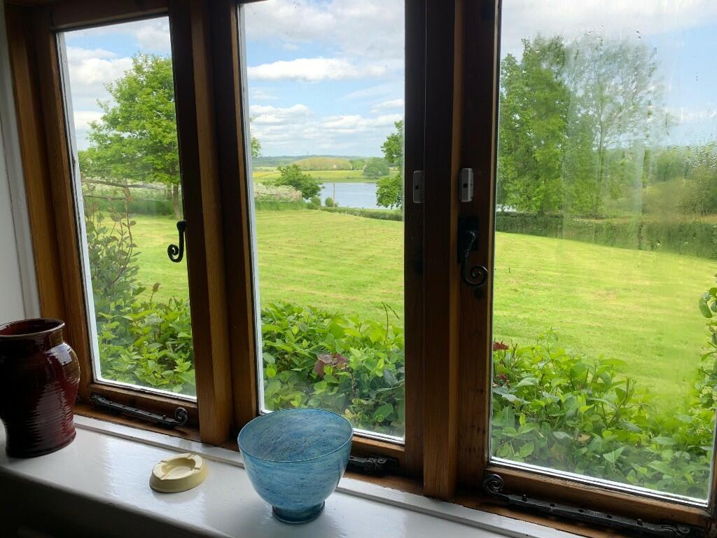 View from dining rm