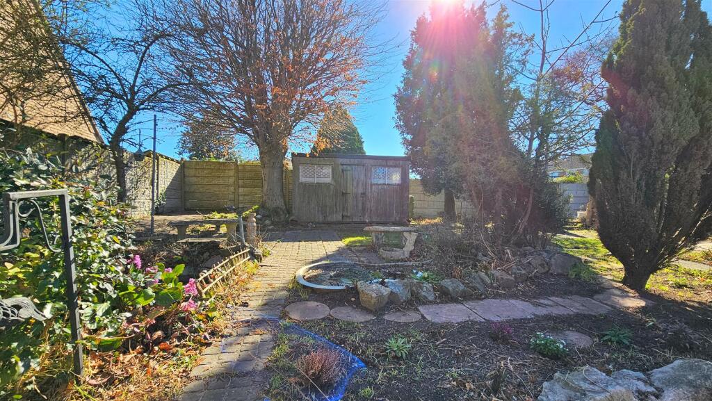 Back Garden