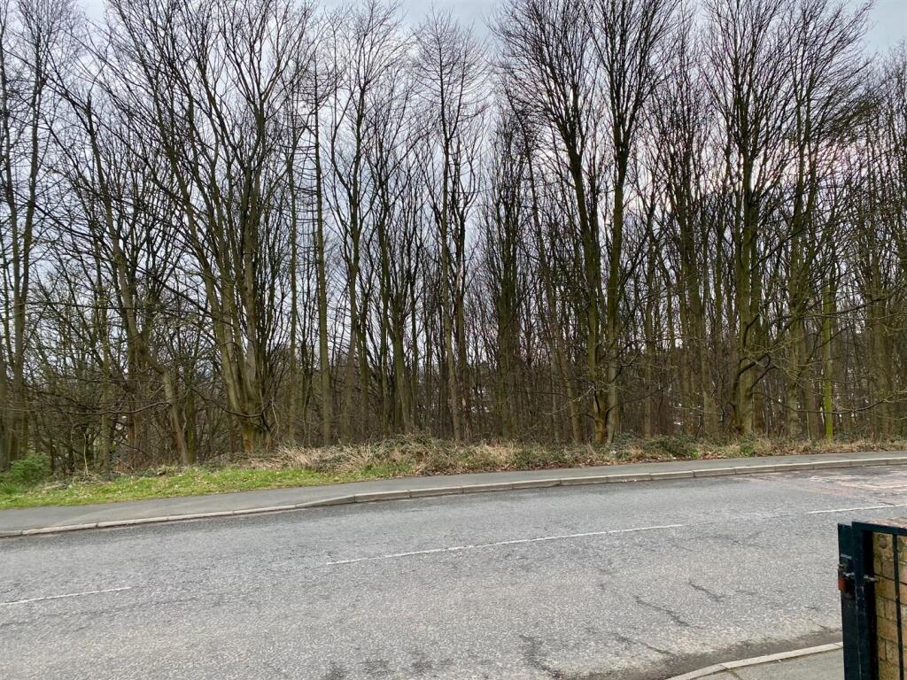 outlook from front.jpg