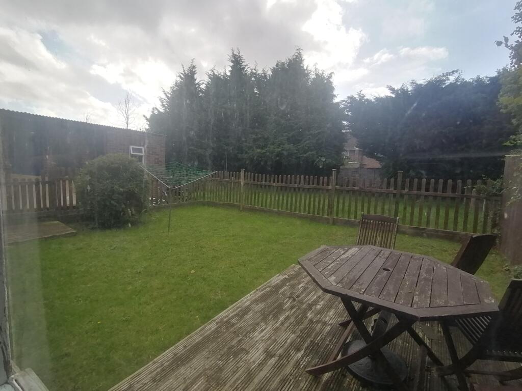 IMAGE 12
