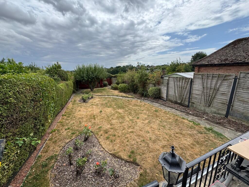 WhatsApp Image 20...