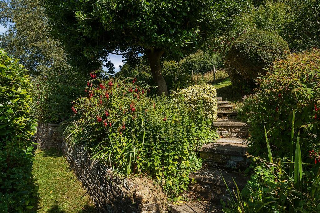 Steps lead up the garden