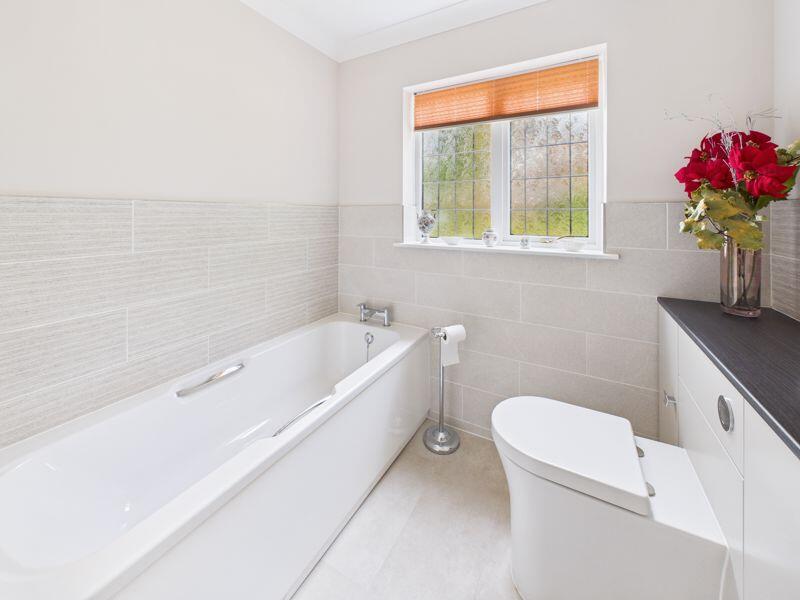 Bath &amp; Shower Room