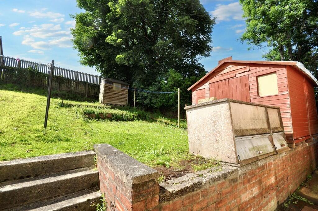 Back Garden