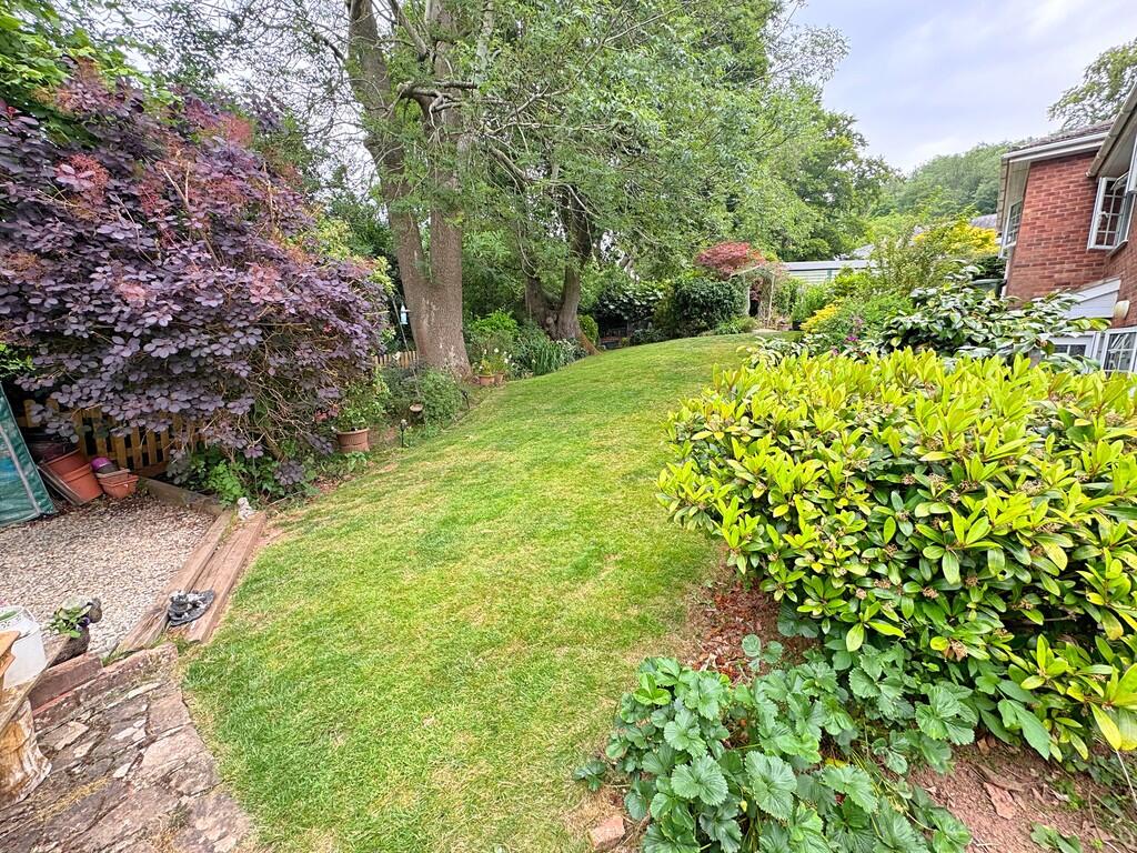 Garden (4)