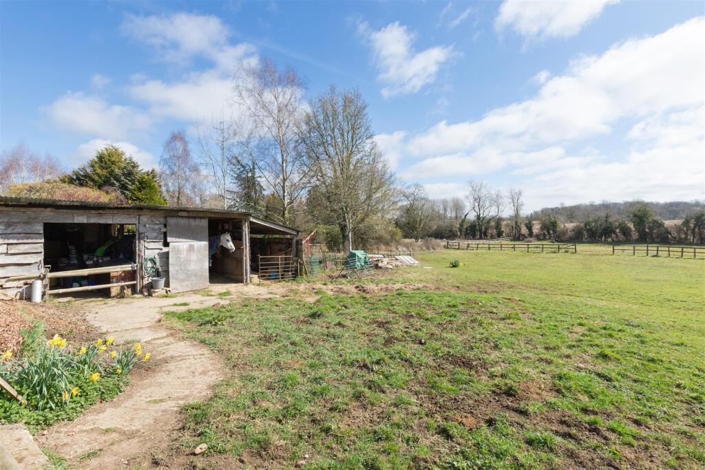 Stables - Paddock.jpg