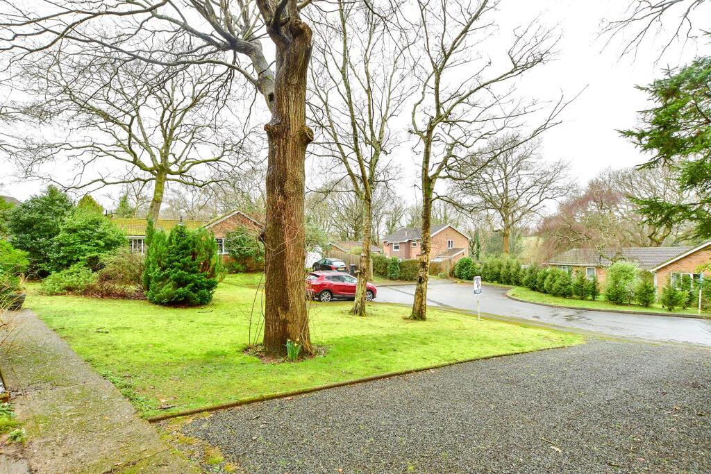 Front Garden (Original)