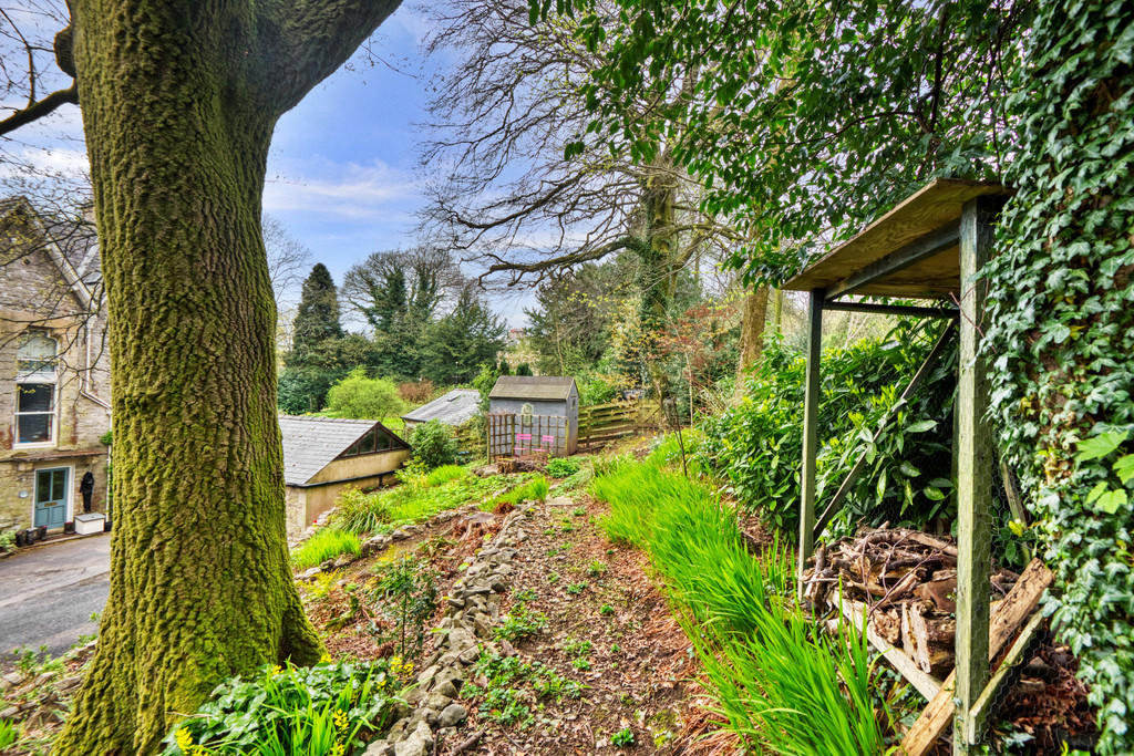 Wooded Front Gard...