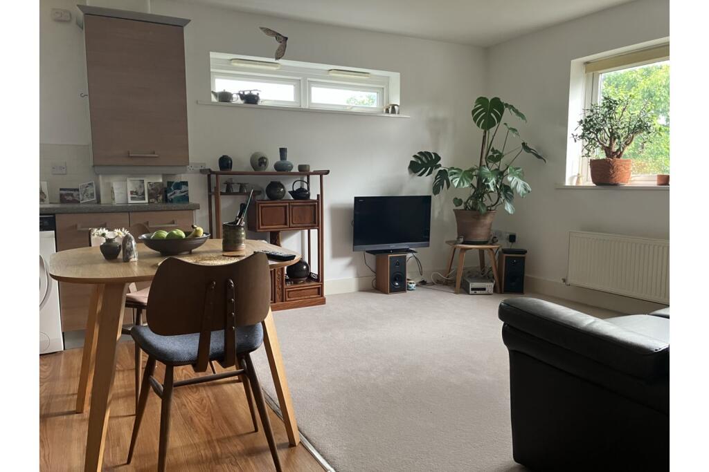 Living / Dining Room