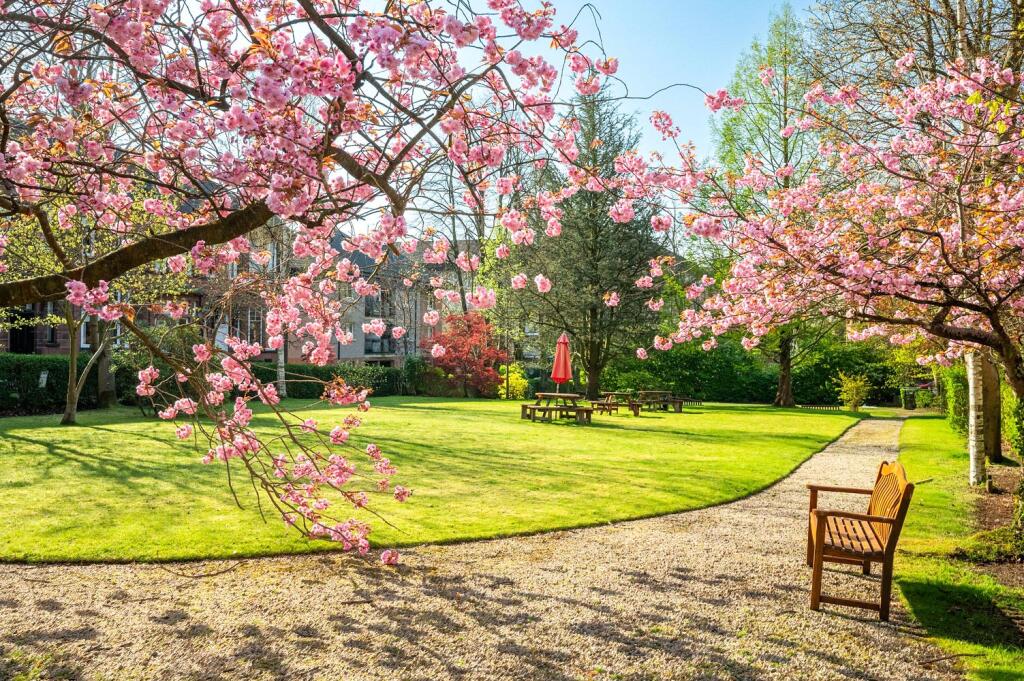 Pleasure Gardens