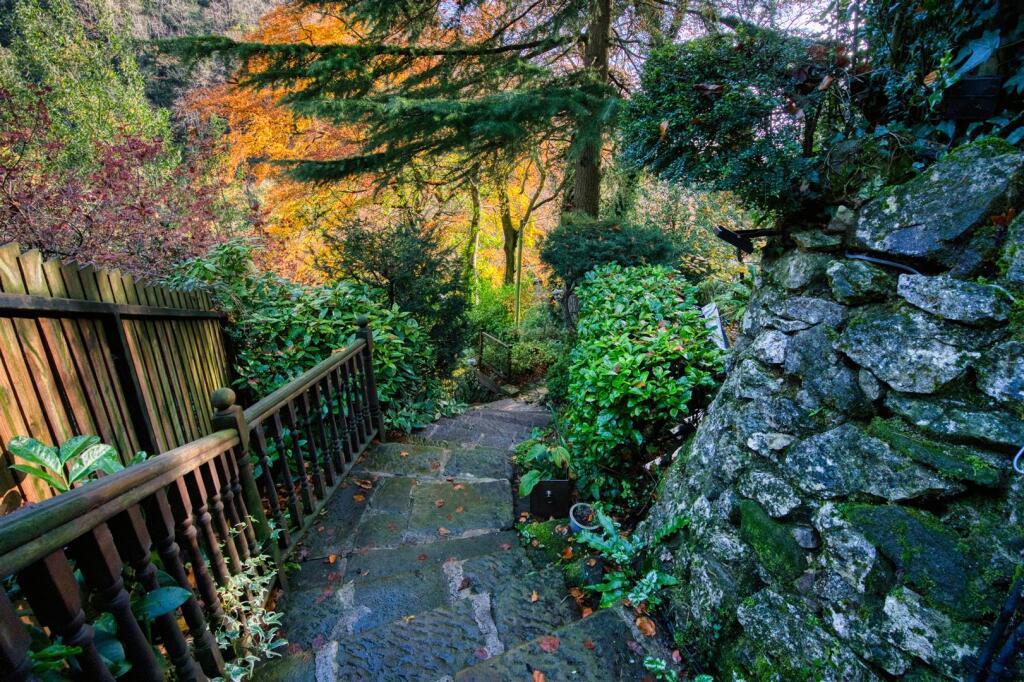 Path through front gardens.jpg