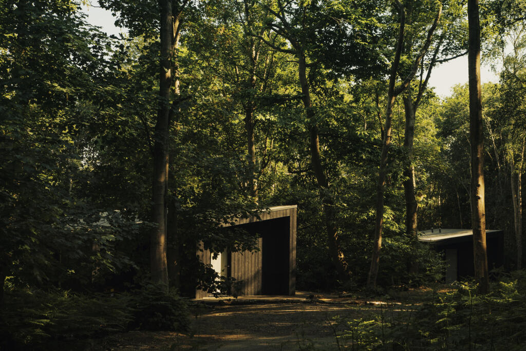 249935 - Copy of Koto_Hillwood_03.jpg