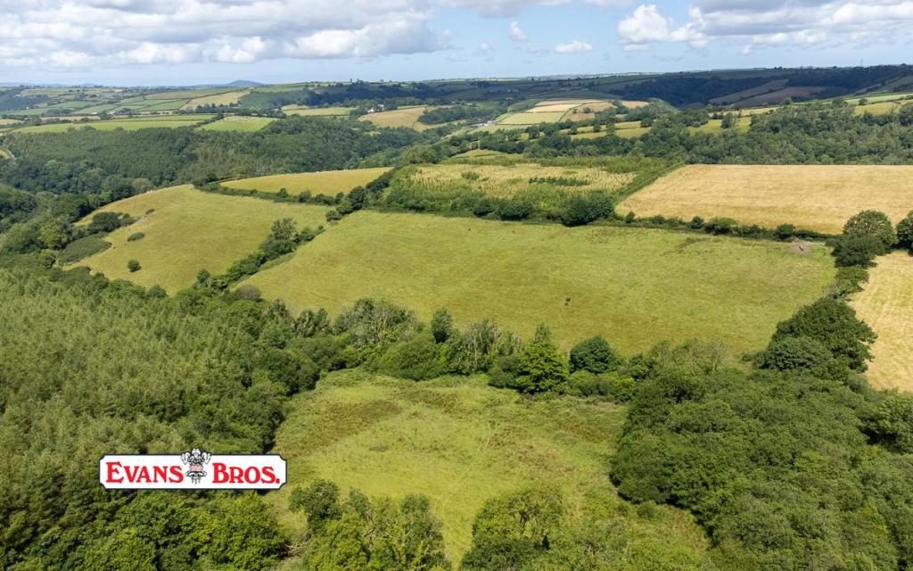 DJI_0545.jpg