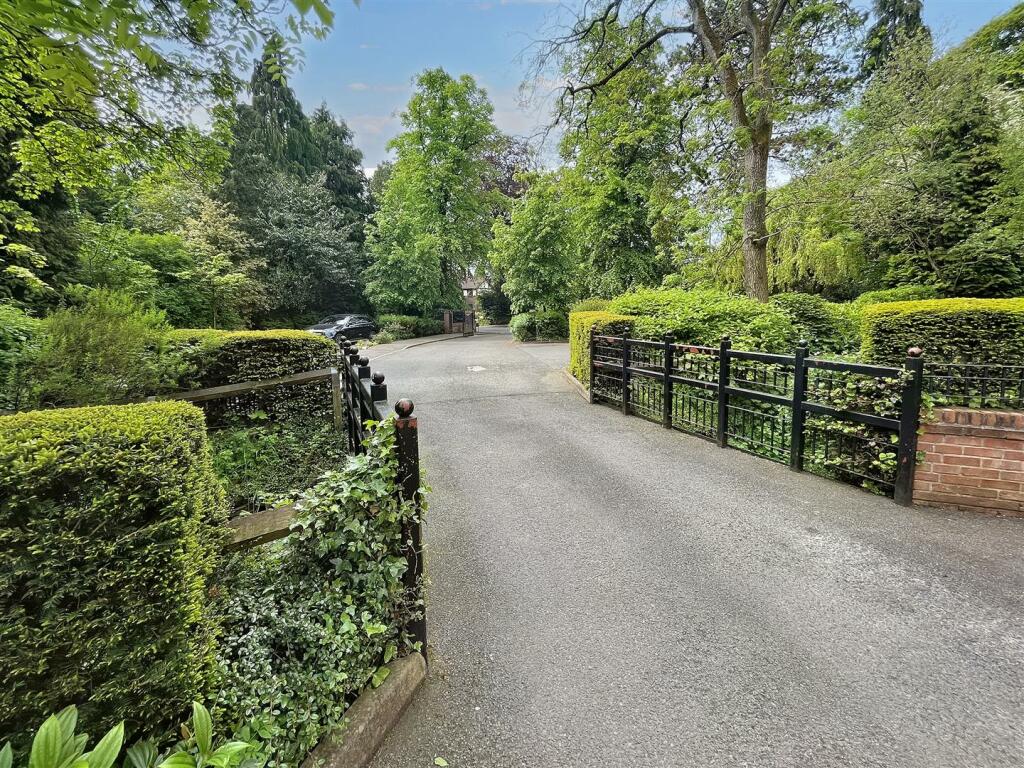 Driveway.jpg