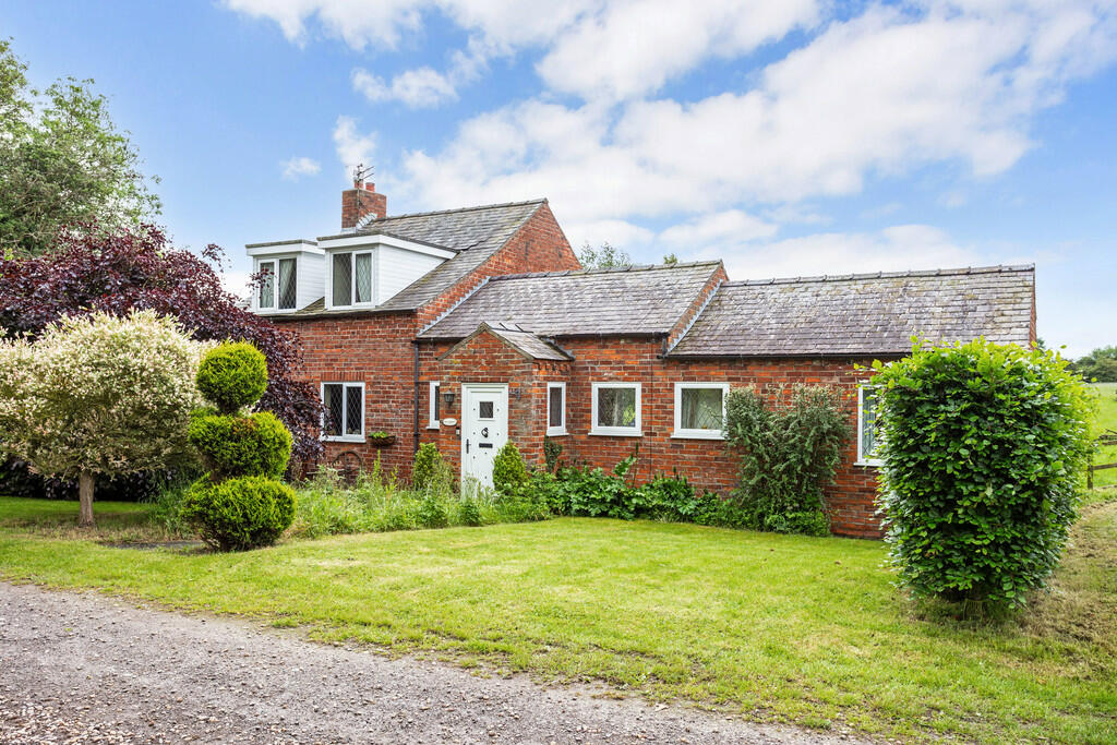 71431_The-Dairies...