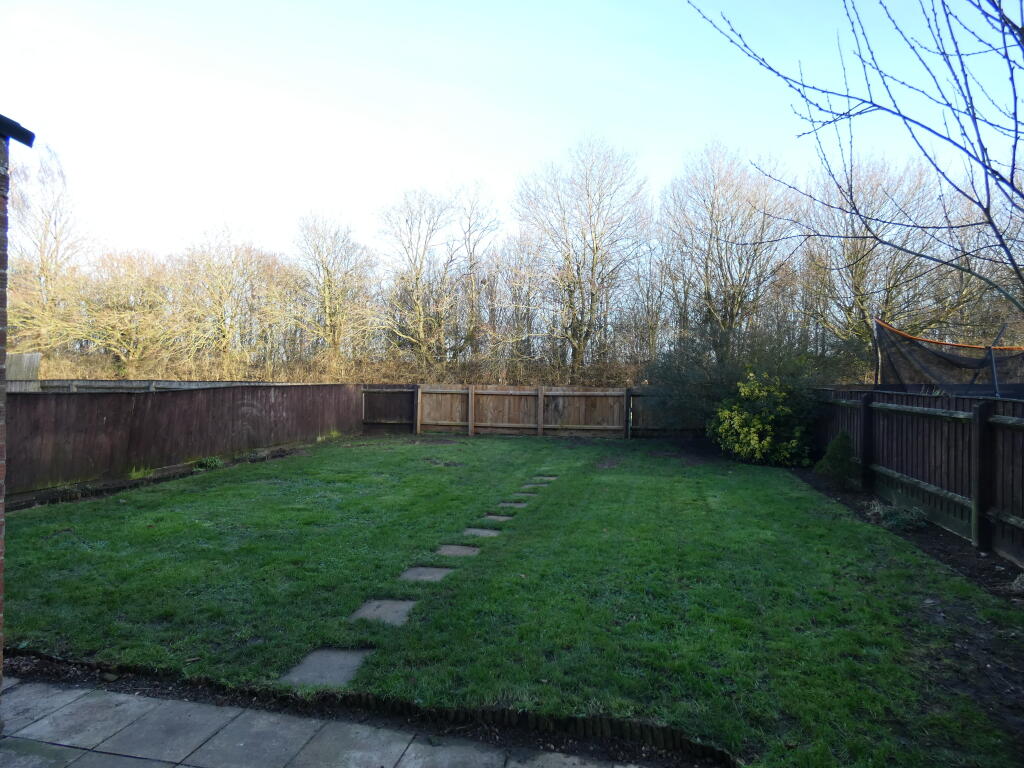Pic 8 Garden.JPG