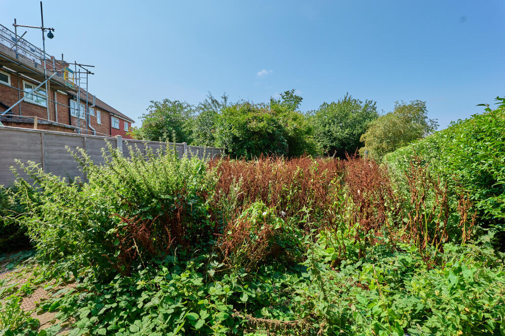 P1518302 T202508062017.jpg