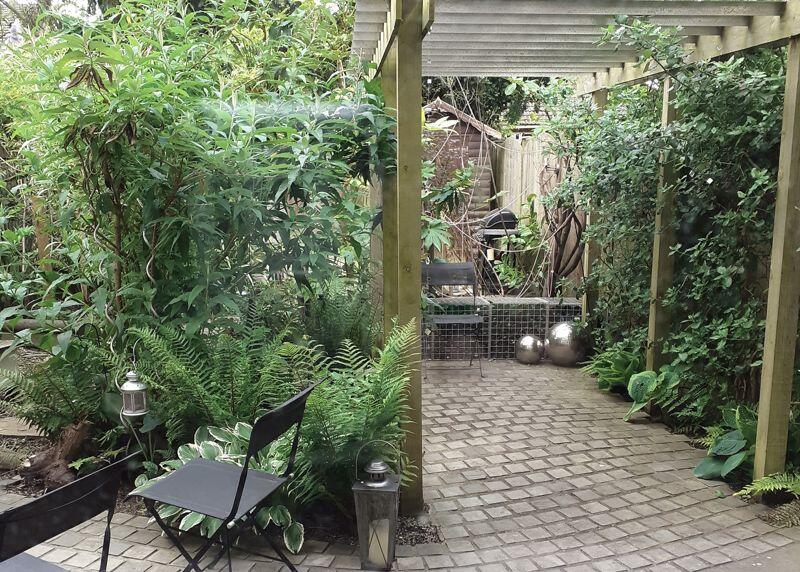 Garden (Summer photo)