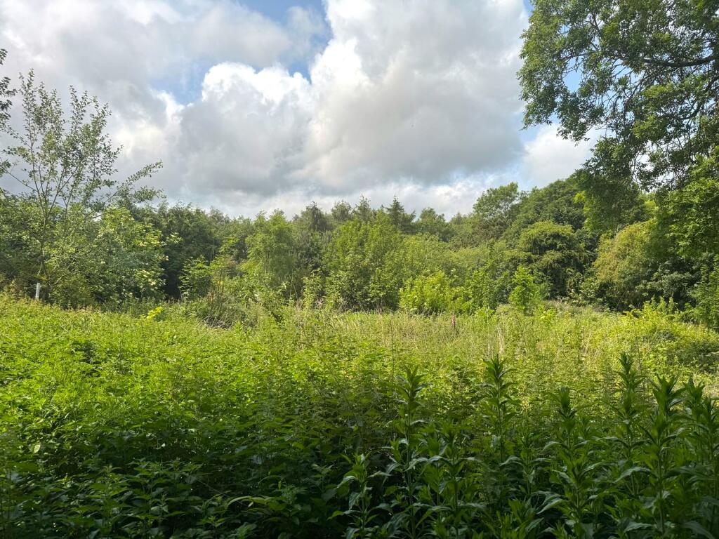 WhatsApp Image 2025-09-11 At 15.58.11 Dacaa634 T202509111613.jpg