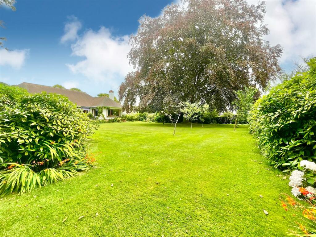 Garden 5.jpg