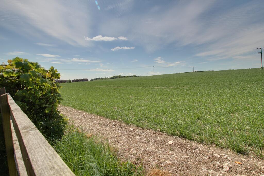 FIELD VIEW