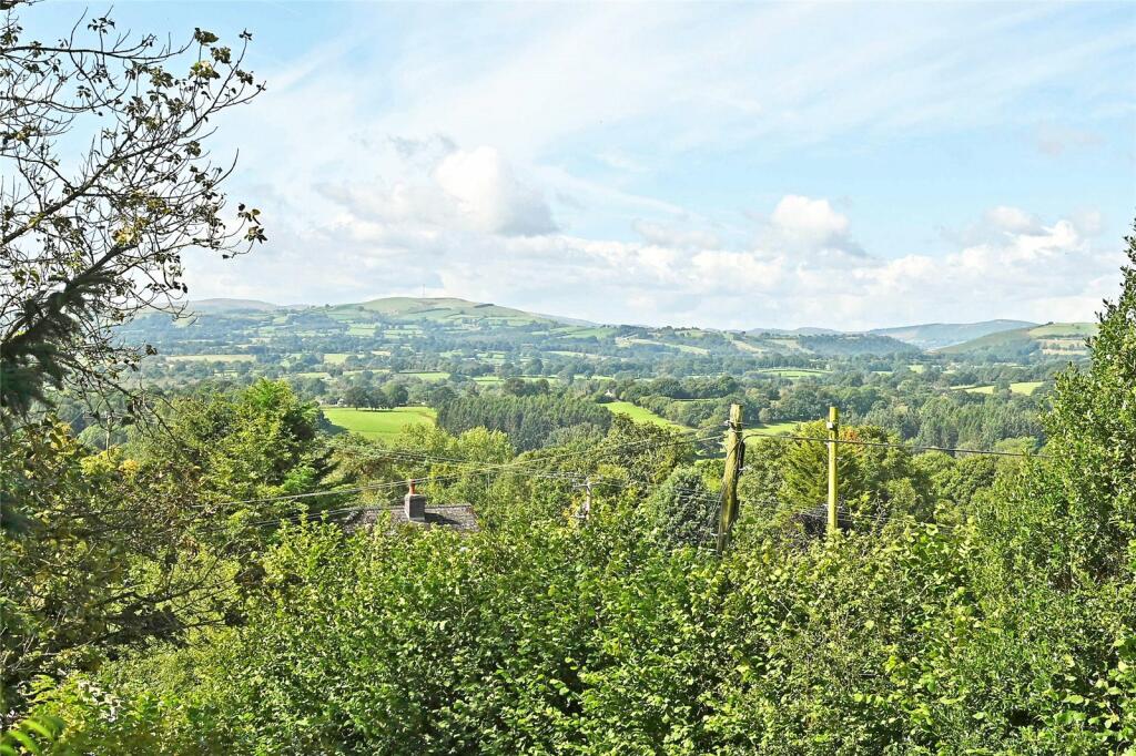 View From Wood