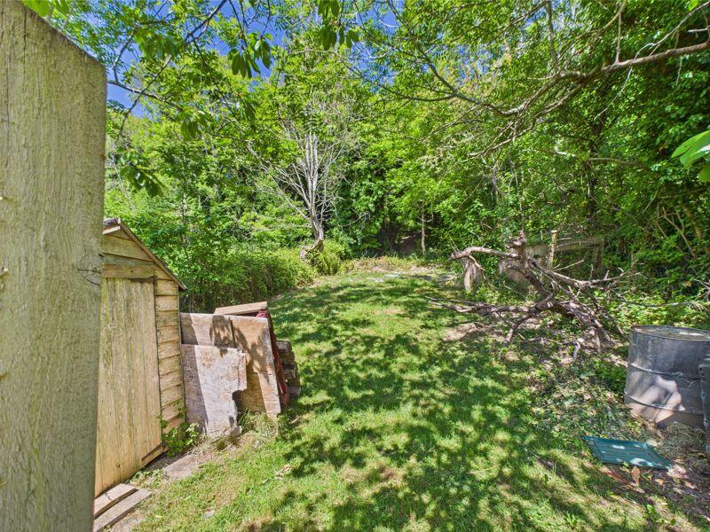 TOP OF GARDEN INTO WOODLAND