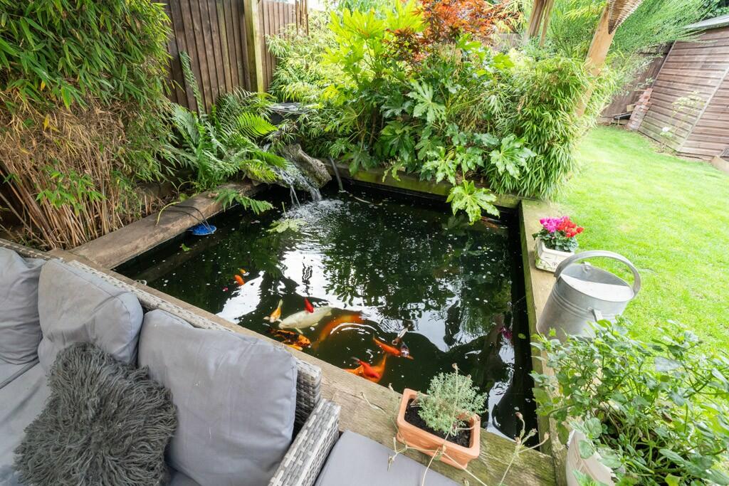 Fishpond