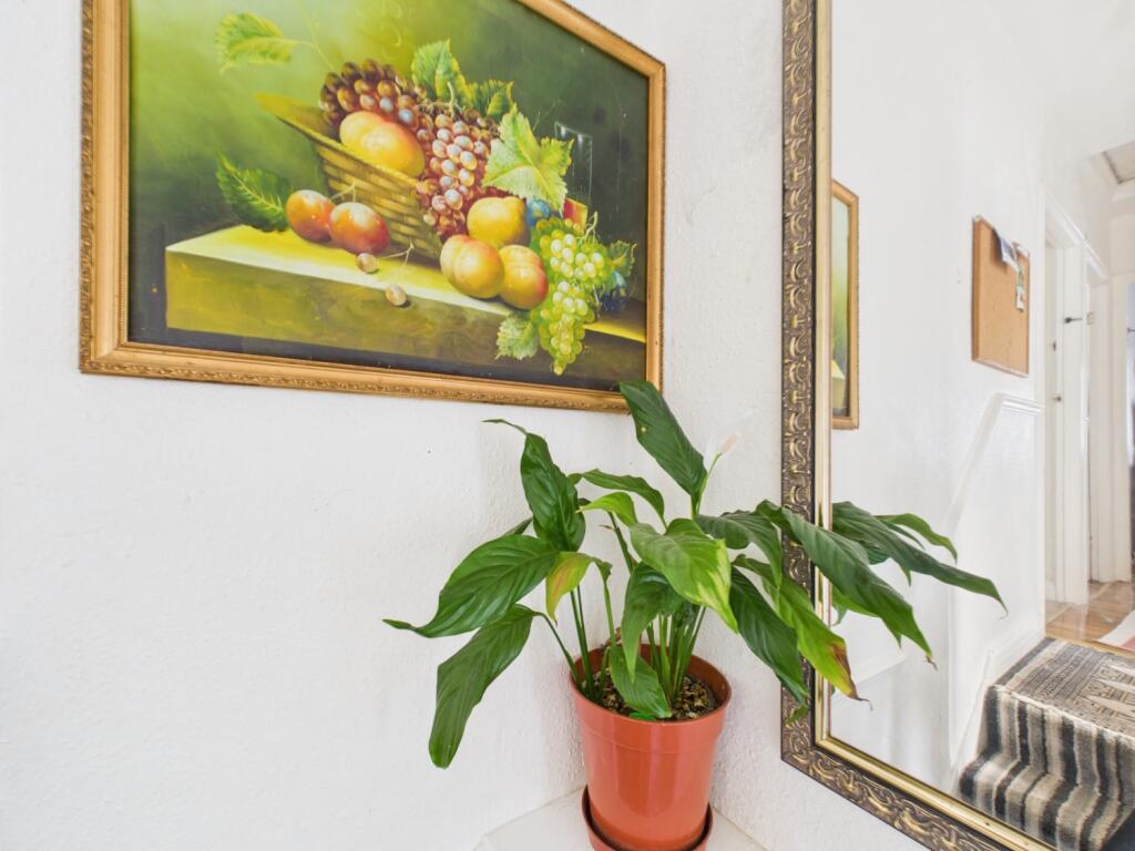 CAM03750G0-PR0059-STILL027