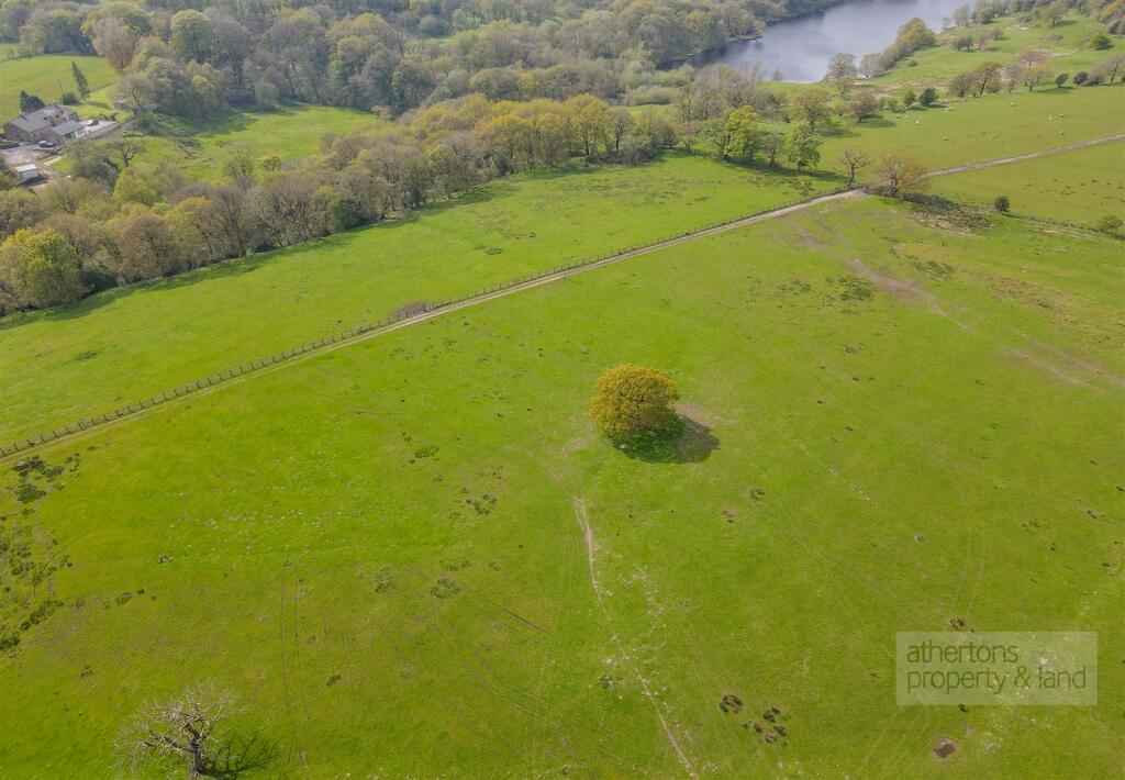 DJI_0800.jpg
