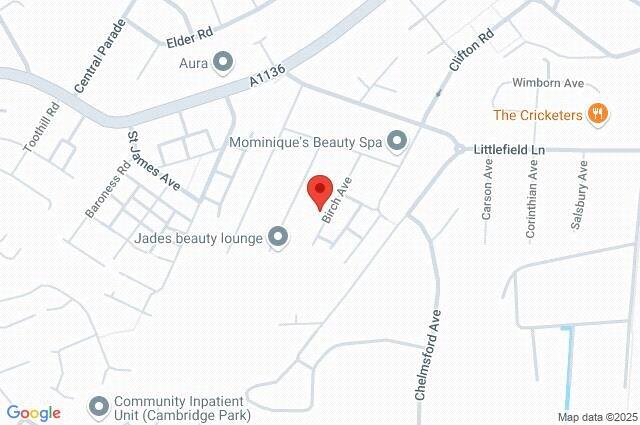 Google Maps Image