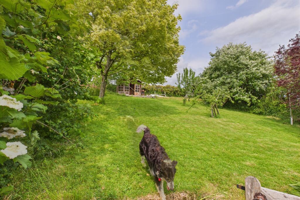 CAM04201G0-PR0085-STILL085