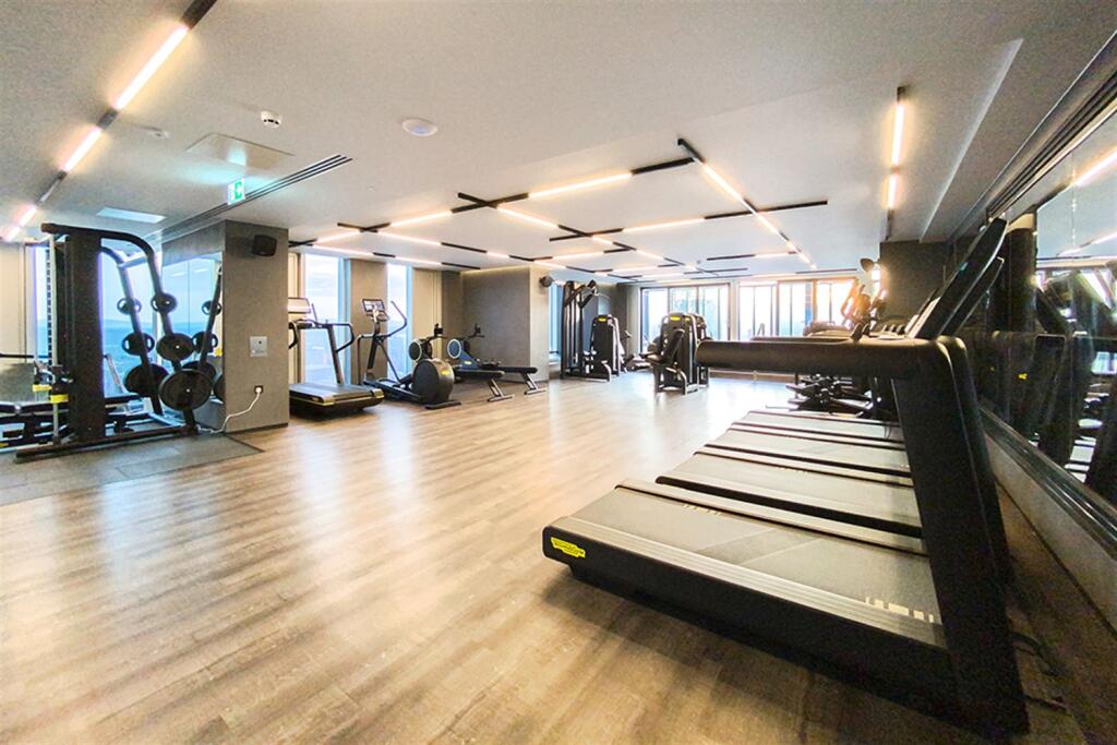  (Main)