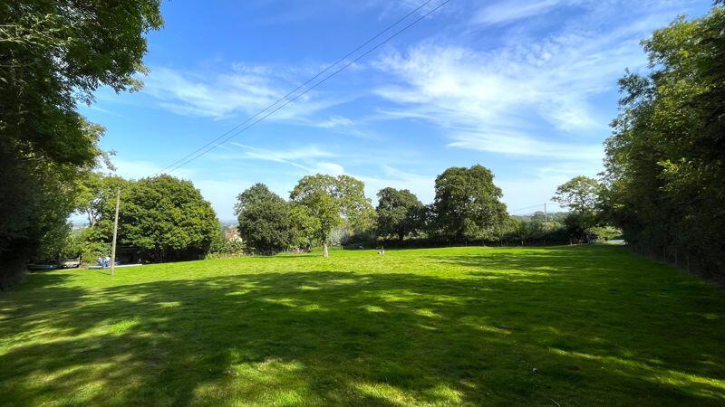 Additional Paddock
