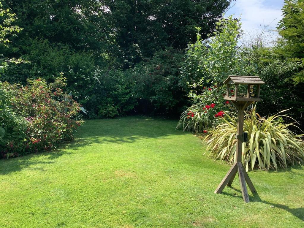 garden7.jpg