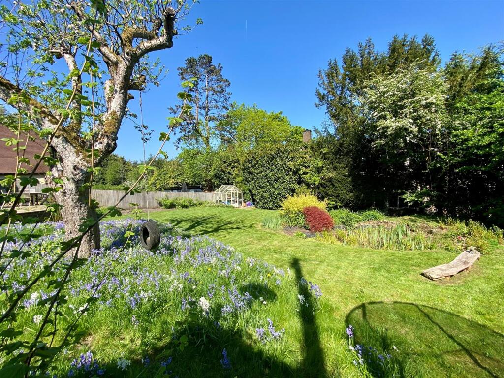 29th April 2025 - Garden Looking West.jpg