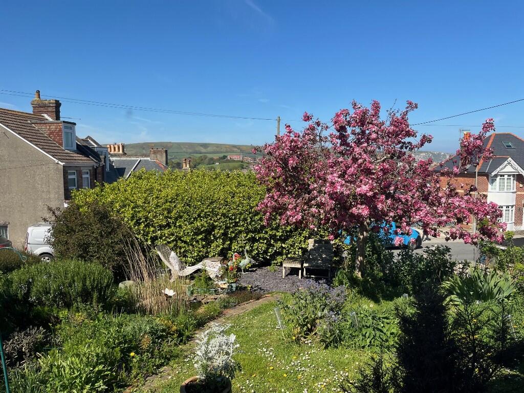 Front garden