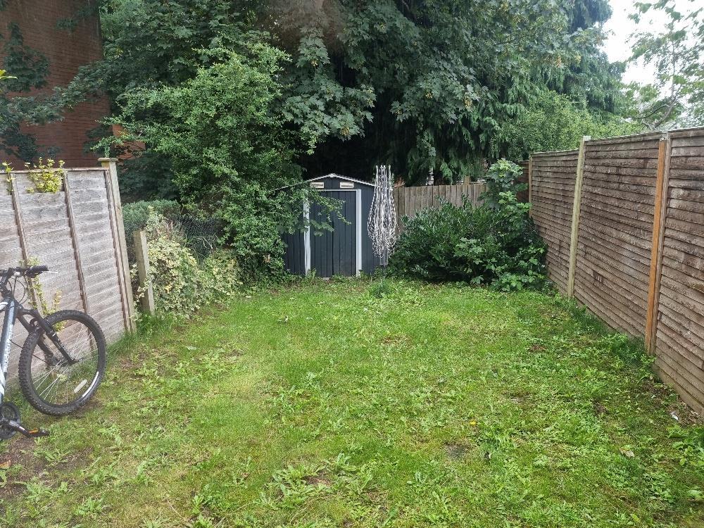 Garden.jpg