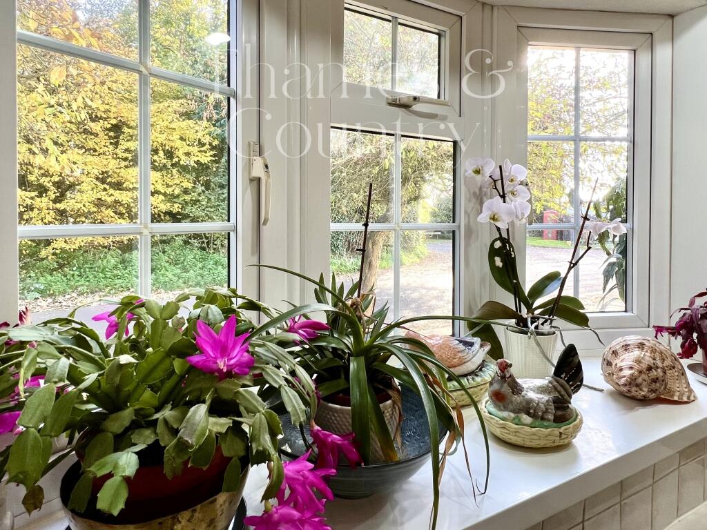 Kitchen view