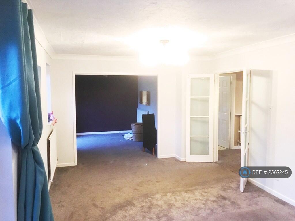 Newly Carpeted