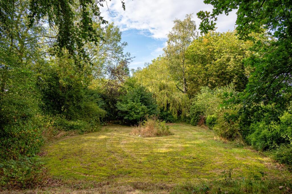 Kirkdale-7.jpg