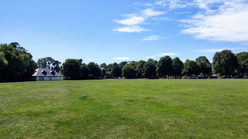 Field View