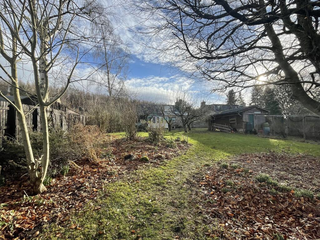 Garden c.JPG