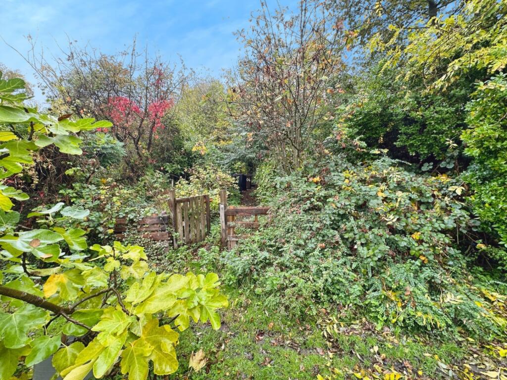 Communal Garden